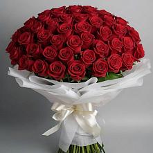 Букет 101 Красная роза Блэк Мэджик в Ладушкине
