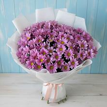 Букет цветов из:  Хризантемы в Ладушкине