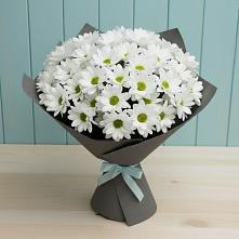 Букет цветов из:  Хризантемы в Ладушкине