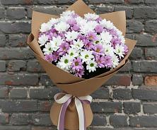 Букет цветов из:  Хризантемы #REPLACE_PRED# Ладушкине