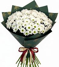 Букет цветов из:  Хризантемы в Ладушкине