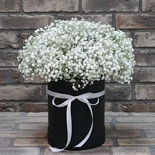 Цветочная композиция из Гипсофила в шляпной коробке #REPLACE_PRED# Ладушкине