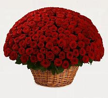 Премиум букет из: Розы #REPLACE_PRED# Ладушкине