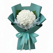 Букет цветов из:  Гортензия в Ладушкине
